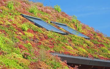 Rivers Corner living roof systems